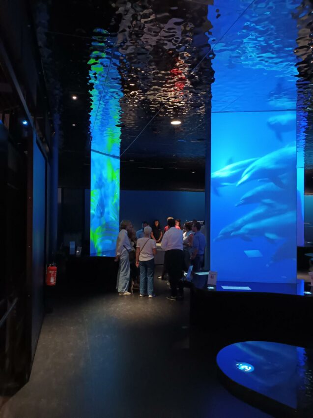 CocktailAquariumsbis©CitédelaMer